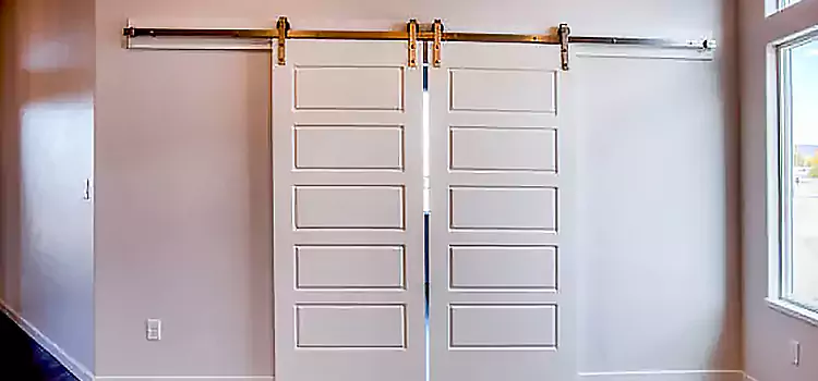 Glass Barn Door with Installation Hardware Kit Palm Springs