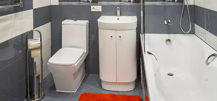 Hansgrohe Shaving Mirror Palm Springs